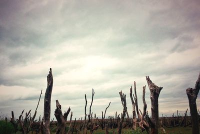 View of field against cloudy sky
