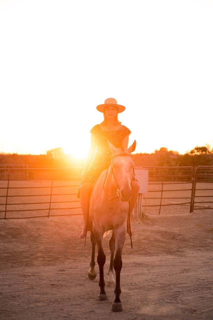 horse, domestic animals, horseback riding, riding, one animal, working animal, sitting, sunlight, full length, front view, mammal, sky, livestock, ranch, cowboy, outdoors, one person, jockey, women, cowboy hat, people, motion, adult, adults only, only women, day