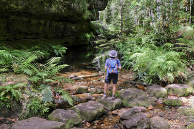 Rear view of man standing on rock in forest