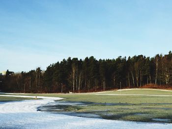 Snow on field by trees against sky