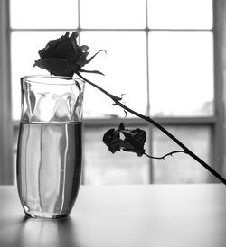 Close-up of rose in glass vase on table