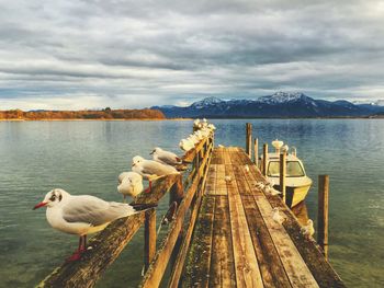 Pier on lake against cloudy sky