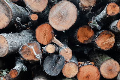 Full frame shot of logs in forest