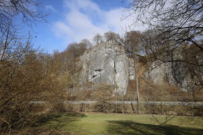 Bare trees in forest against sky