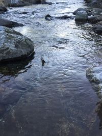 Rocks in sea