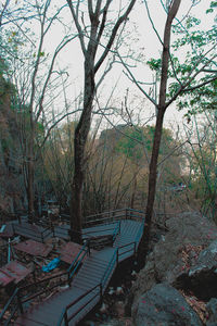 Trees and plants in water