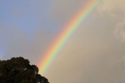 Low angle view of rainbow against sky