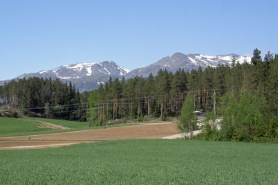 Scenic view of landscape and mountains against clear sky