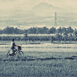 People on grassy field