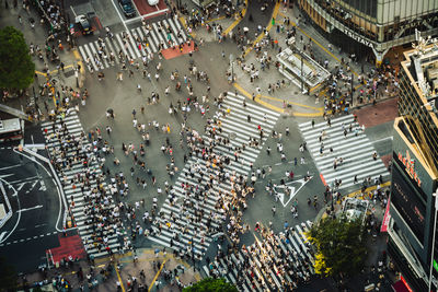 View of the world-famous shibuya crossing from above