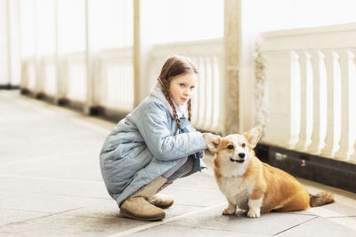 Portrait of a toddler girl in a warm blue coat with a corgi dog in the park. 