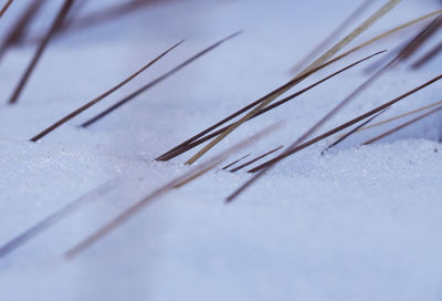 Close-up of cables on table