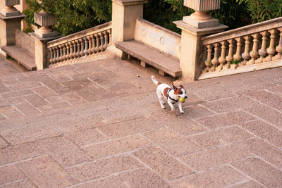 High angle view of people on street