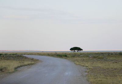 Road passing through a field