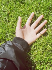 High angle view of hand on grass field