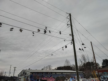 Low angle view of birds flying against sky