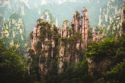 Tall cliffs overgrown with green tropical plants on foggy weather in zhangjiajie, spain