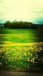 Scenic view of field against cloudy sky