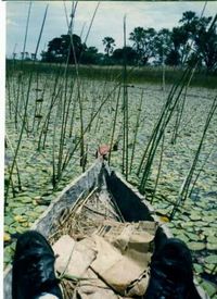 Woman sitting in lake
