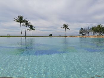 Palm trees by swimming pool against sky