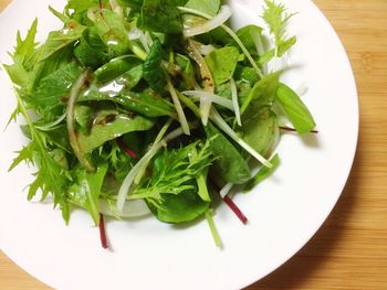 Close-up of salad in plate