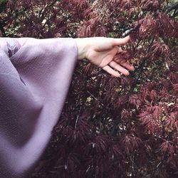 Close-up of woman hand