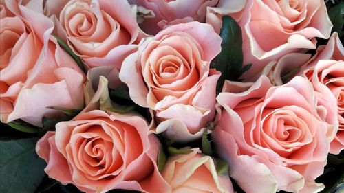 Close-up of rose bouquet