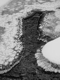 High angle view of puddle on footpath