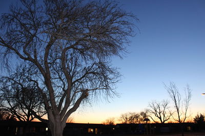 Silhouette of bare trees against sky at sunset