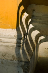 Shadow of cat on stone wall