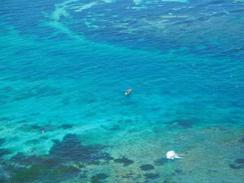 High angle view of people swimming in sea