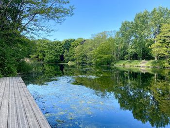 Reflection of trees in lake against sky