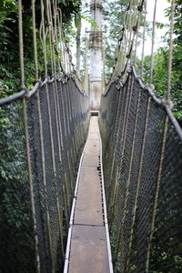 Footbridge in forest