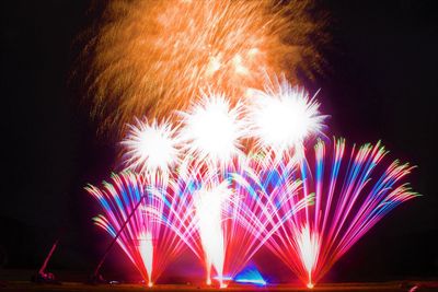 Low angle view of firework display at night