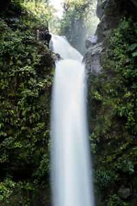 View of waterfall in forest
