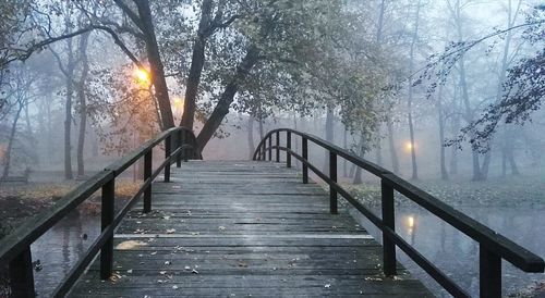 Footbridge against trees during sunset