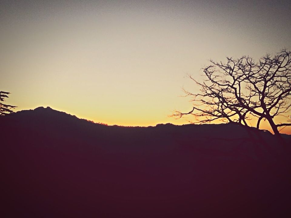 silhouette, sunset, nature, beauty in nature, sky, clear sky, tranquility, no people, scenics, tranquil scene, landscape, mountain, tree, outdoors, day