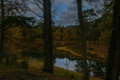 Trees by lake in forest against sky during autumn