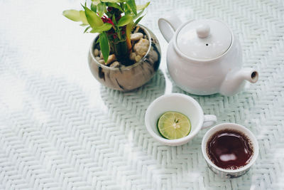 High angle view of potted plant on table