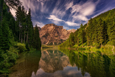 Panoramic view of lake and trees against sky