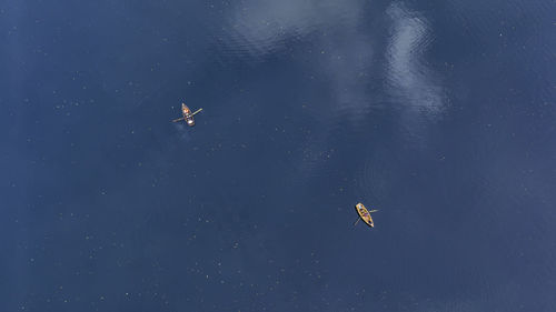 High angle view of duck swimming in lake