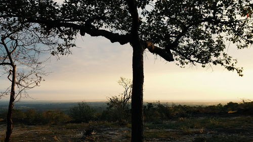 Silhouette trees on landscape against sky at sunset