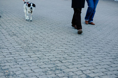 Low section of woman standing on footpath