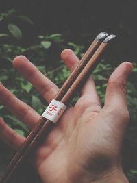 Close-up of hand holding cigarettes