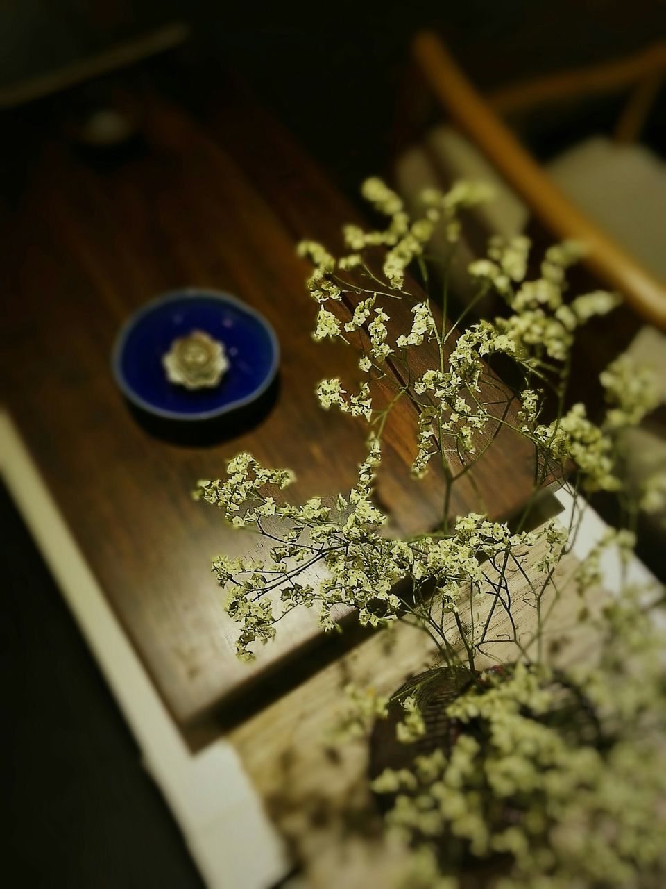 flower, potted plant, plant, growth, indoors, table, freshness, selective focus, close-up, decoration, leaf, vase, focus on foreground, no people, wood - material, nature, built structure, front or back yard, low angle view, home interior