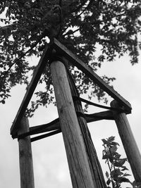 Low angle view of tree against sky