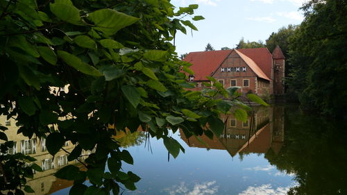 Tree by building against sky