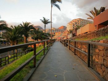 View of footpath along trees