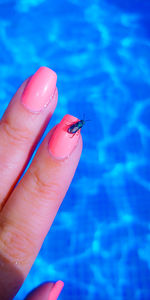 Close-up of hand holding insect