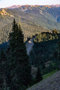 High angle view of road amidst trees and mountains